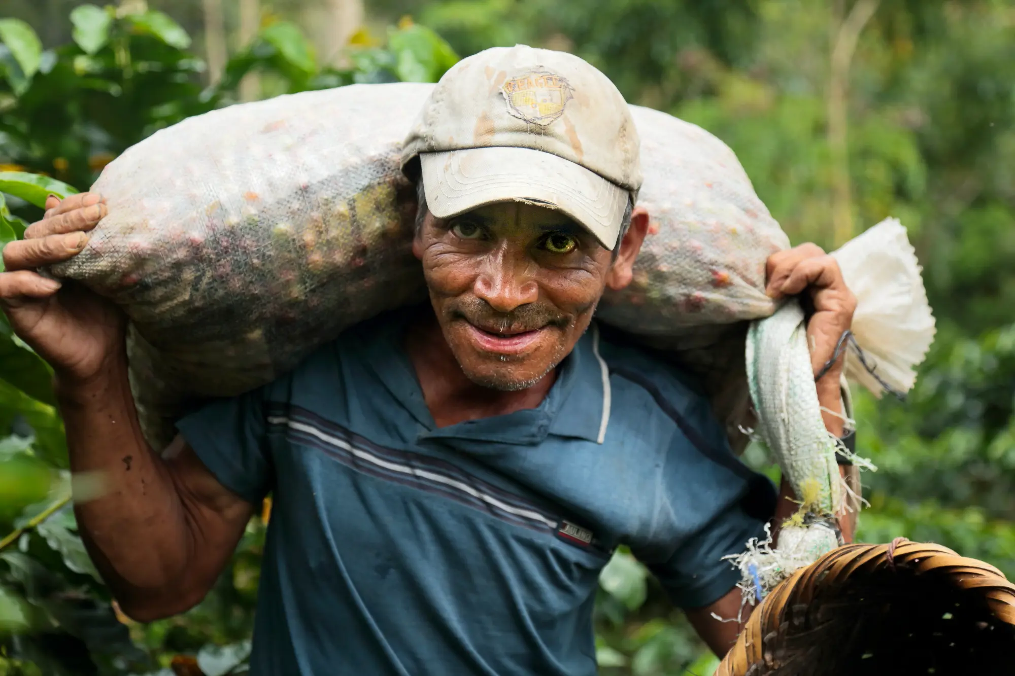 Cafenor coffee farmer with bag of coffee cherries